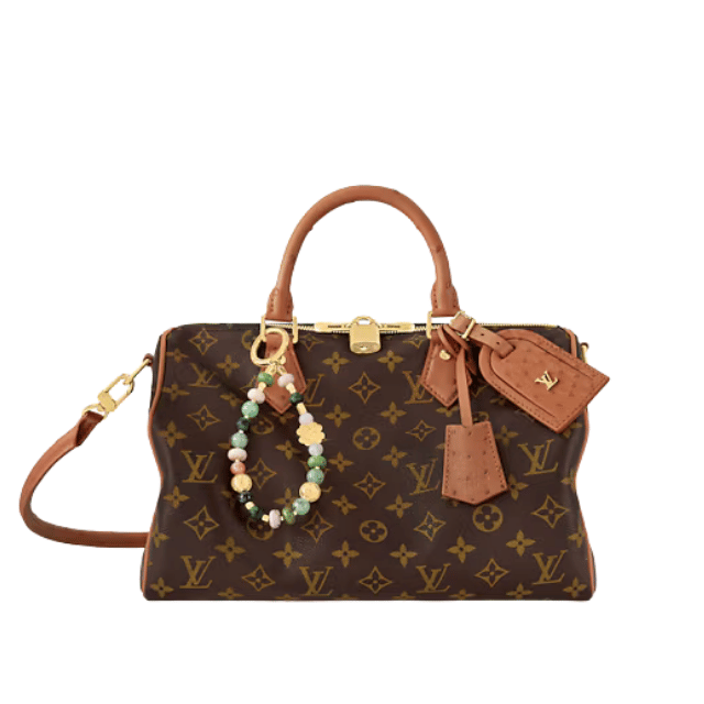 LOUIS VUITTON SPEEDY SOFT 30 BOHO 11.8 INCHES N87212