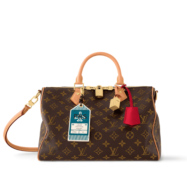 LOUIS VUITTON SPEEDY SOFT 30 CRAFTY 11.8 INCHES M11945
