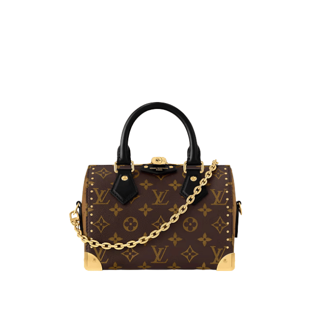 LOUIS VUITTON SPEEDY TRUNK BAG 20 8.1 INCHES M13146