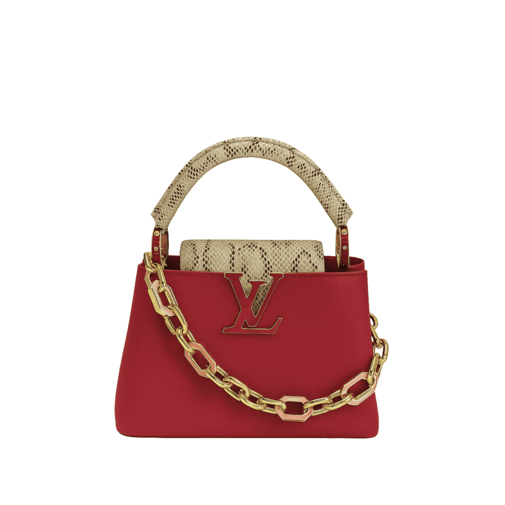 LOUIS VUITTON CAPUCINES NANO CHERRY BERRY RED 7.9 INCHES