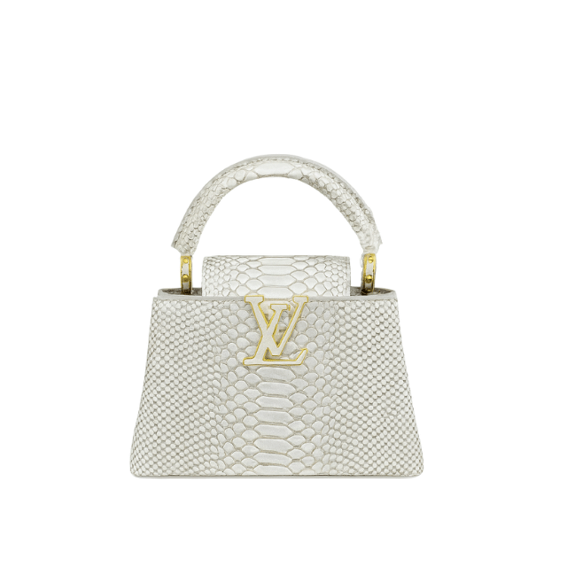 LOUIS VUITTON CAPUCINES MINI PYTHON LEATHER SILVER GREY 8.3 INCHES