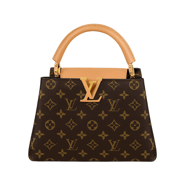 LOUIS VUITTON CAPUCINES BB MONOGRAM CANVAS & TAURILLON LEATHER 10.6 INCHES
