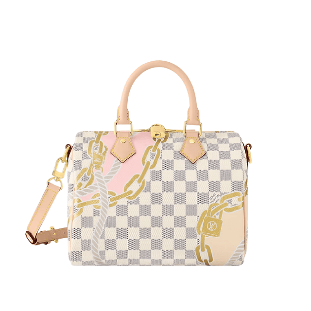 LOUIS VUITTON SPEEDY BANDOULIÈRE 25 CHAIN COLLECTION 9.8 INCHES M55141